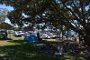 rowing-regatta-2014 006